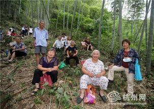 杭州富阳吃瓜事件,一场网络热议背后的真相揭秘