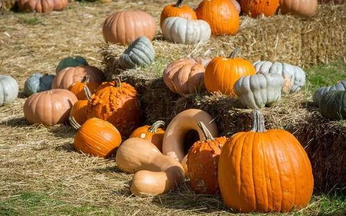 祈福吃瓜的图片