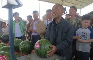 汾阳吃瓜群众,吃瓜群众热议时事风云