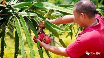 吃瓜记得看路,轻松应对生活小插曲