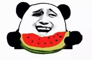 吃瓜种地,揭秘农业新风尚与休闲农业的融合之道