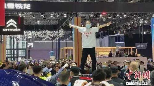 河南卫视吃瓜,揭秘娱乐圈幕后故事