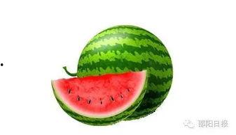 吃瓜邵阳,揭秘当地美食文化