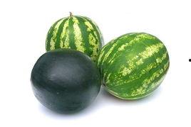 南宁万秀吃瓜事件,一场引发热议的街头冲突