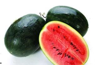 绿色壁纸手机吃瓜,揭秘时尚潮流与娱乐热点的完美融合