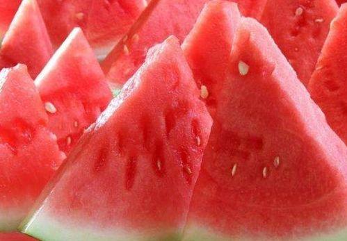 多批次播种吃瓜,瓜果飘香丰收季