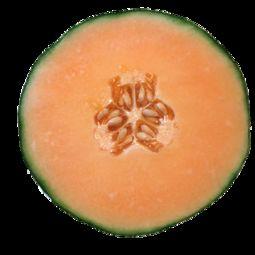 例假来哈密瓜可以吃吗,经期女性适宜食用哈密瓜的探讨