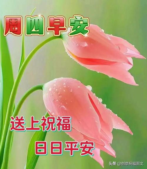 天天吃瓜早安图片大全,天天吃瓜早安，开启欢乐一天