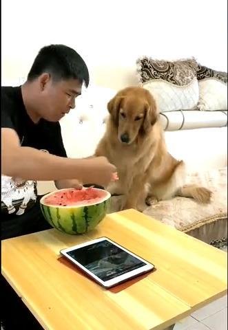 吃饭隔壁吃瓜,共享用餐时光的温馨瞬间