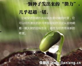 微力无边吃瓜,吃瓜群众眼中的娱乐圈风云