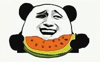 吃瓜群众瓜王,揭秘娱乐圈那些事儿