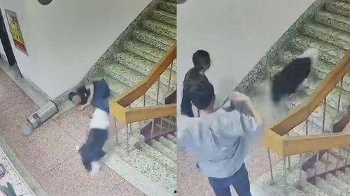 吃瓜狗子摔下楼,网友热议宠物安全