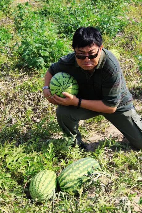 男人梦见吃瓜梦见偷瓜,揭秘男人梦中吃瓜偷瓜的深层寓意