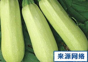 孕妇吃矮瓜吗,矮瓜在孕期中的适宜性探讨